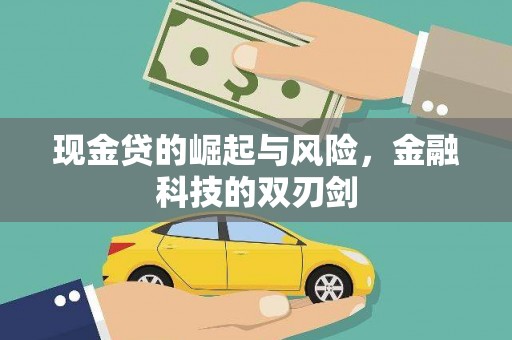 康县现金贷的崛起与风险，金融科技的双刃剑