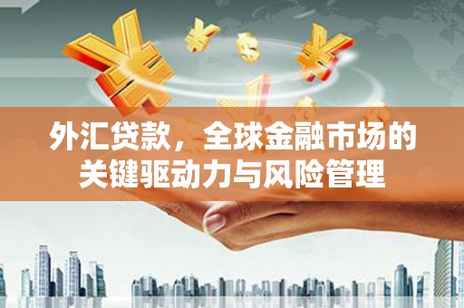 康县外汇贷款，全球金融市场的关键驱动力与风险管理
