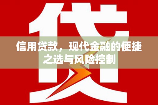 康县信用贷款，现代金融的便捷之选与风险控制