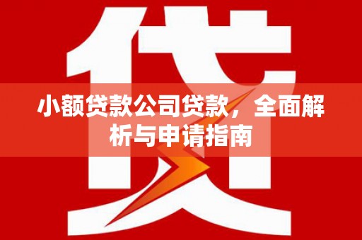 康县小额贷款公司贷款，全面解析与申请指南