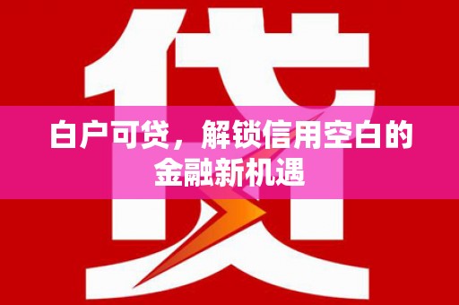 康县白户可贷，解锁信用空白的金融新机遇