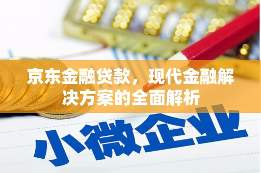 康县京东金融贷款，现代金融解决方案的全面解析