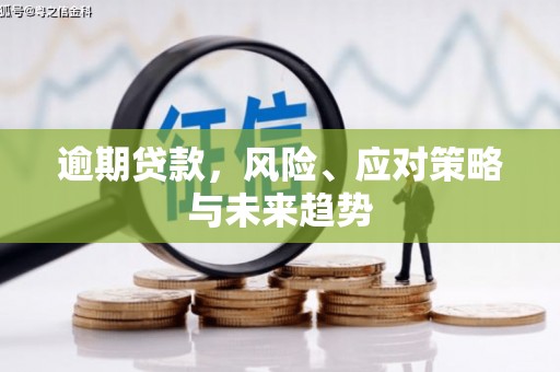 康县逾期贷款，风险、应对策略与未来趋势