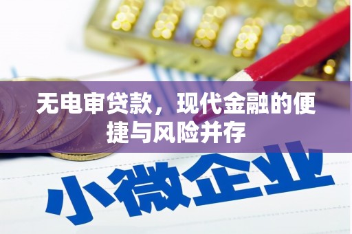 康县无电审贷款，现代金融的便捷与风险并存