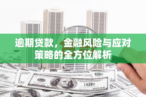 康县逾期贷款，金融风险与应对策略的全方位解析
