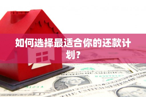 康县如何选择最适合你的还款计划？