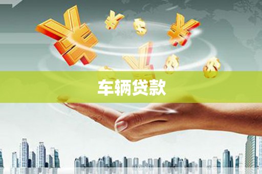 康县车辆贷款