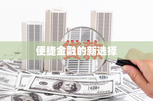 康县便捷金融的新选择