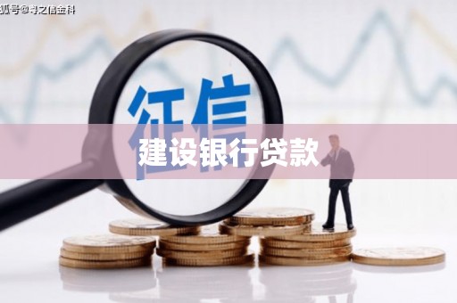 康县建设银行贷款