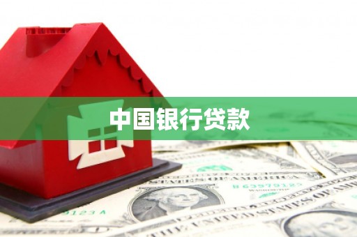 康县中国银行贷款