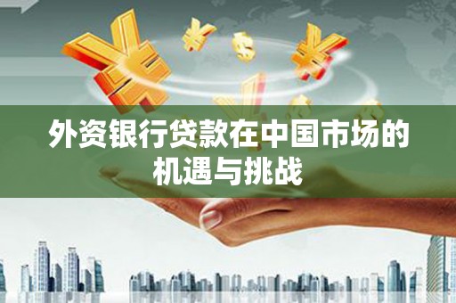 康县外资银行贷款在中国市场的机遇与挑战