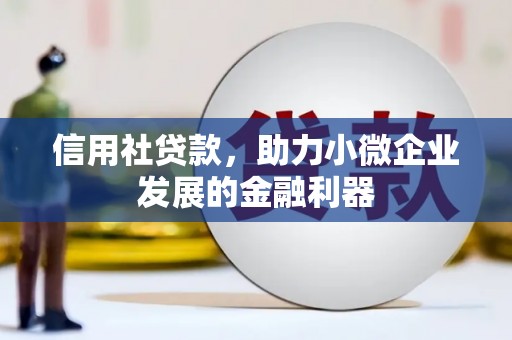 康县信用社贷款，助力小微企业发展的金融利器