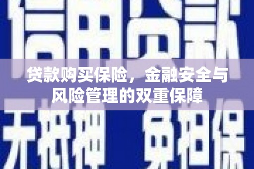 康县贷款购买保险，金融安全与风险管理的双重保障