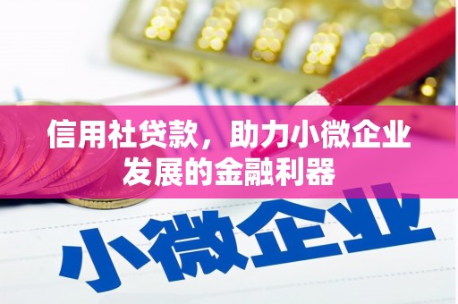 康县信用社贷款，助力小微企业发展的金融利器