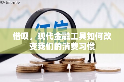 康县借呗，现代金融工具如何改变我们的消费习惯