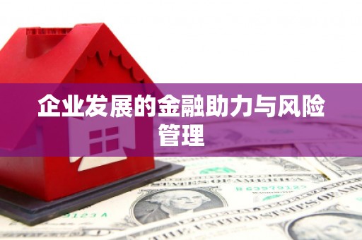 康县企业发展的金融助力与风险管理