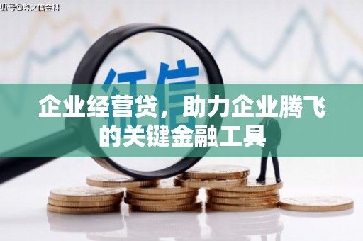 康县企业经营贷，助力企业腾飞的关键金融工具