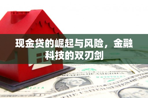 康县现金贷的崛起与风险，金融科技的双刃剑
