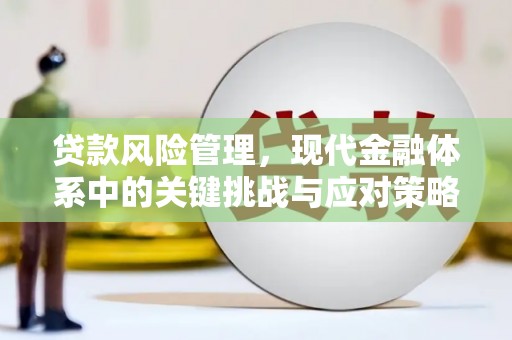 康县贷款风险管理，现代金融体系中的关键挑战与应对策略