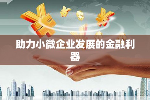 康县助力小微企业发展的金融利器