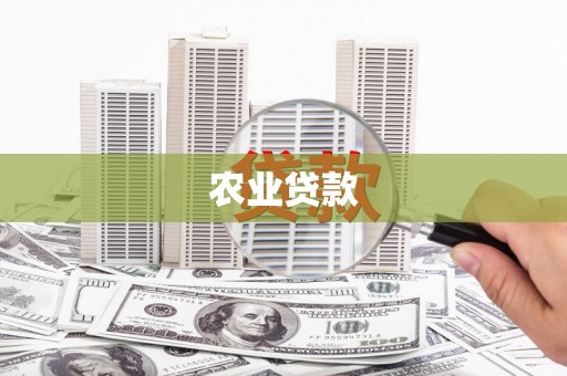 康县农业贷款