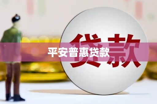 康县平安普惠贷款