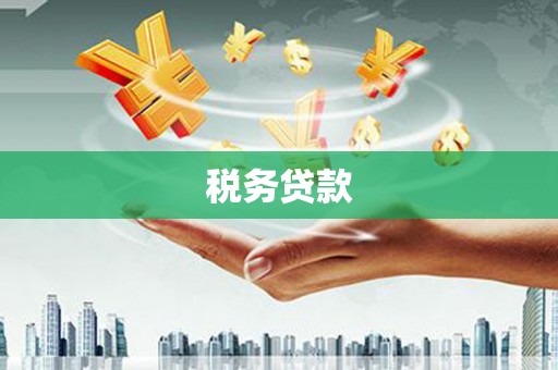 康县税务贷款