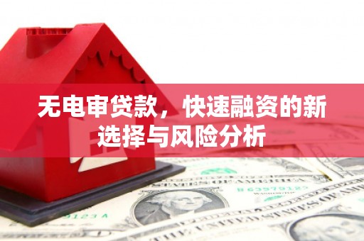 康县无电审贷款，快速融资的新选择与风险分析