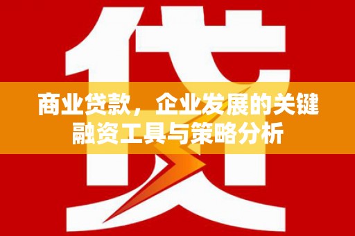 康县商业贷款，企业发展的关键融资工具与策略分析