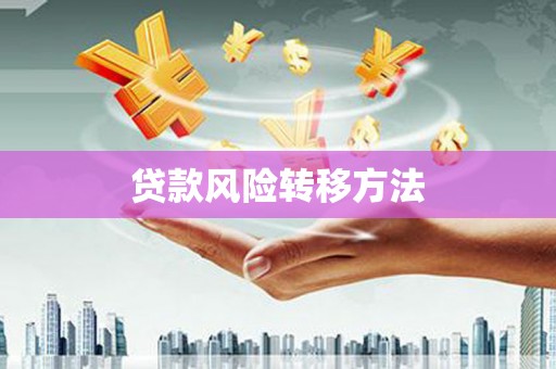 康县贷款风险转移方法