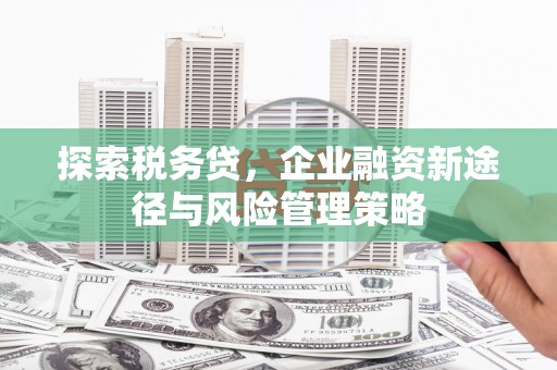 康县探索税务贷，企业融资新途径与风险管理策略