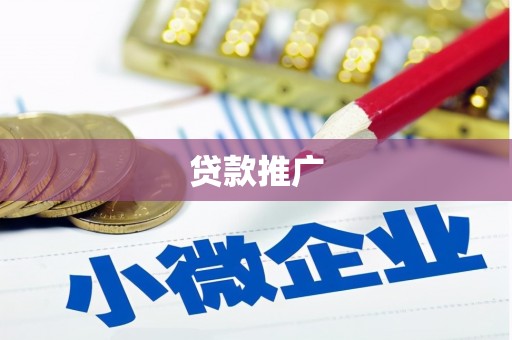 康县贷款推广