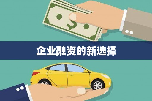康县企业融资的新选择