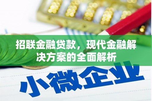 康县招联金融贷款，现代金融解决方案的全面解析