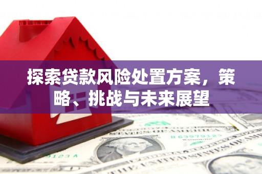 康县探索贷款风险处置方案，策略、挑战与未来展望