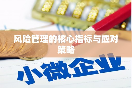 康县风险管理的核心指标与应对策略