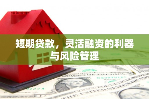 康县短期贷款，灵活融资的利器与风险管理