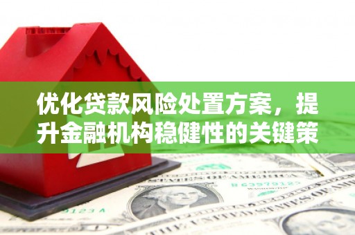 康县优化贷款风险处置方案，提升金融机构稳健性的关键策略