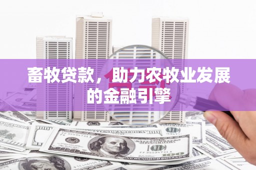 康县畜牧贷款，助力农牧业发展的金融引擎