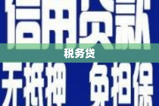 康县税务贷