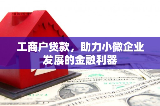 康县工商户贷款，助力小微企业发展的金融利器