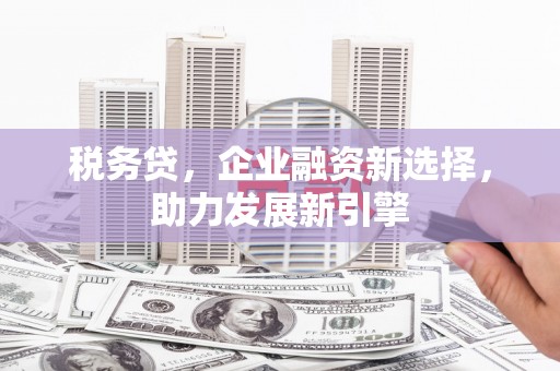 康县税务贷，企业融资新选择，助力发展新引擎