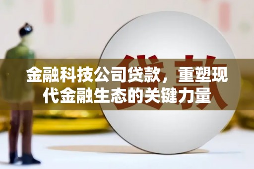 康县金融科技公司贷款，重塑现代金融生态的关键力量