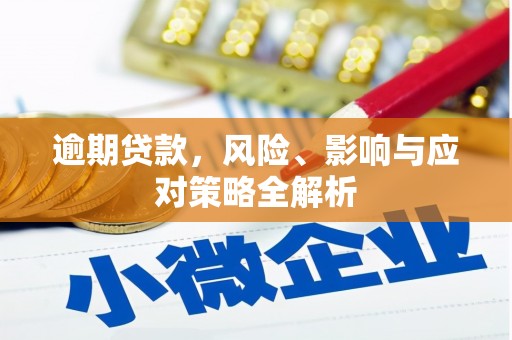 康县逾期贷款，风险、影响与应对策略全解析