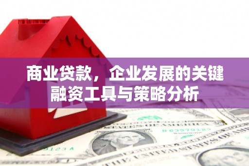 康县商业贷款，企业发展的关键融资工具与策略分析