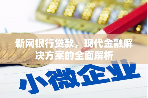 康县新网银行贷款，现代金融解决方案的全面解析