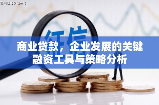 康县商业贷款，企业发展的关键融资工具与策略分析