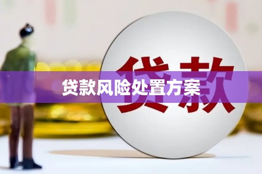 康县贷款风险处置方案