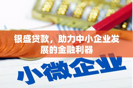 康县银盛贷款，助力中小企业发展的金融利器