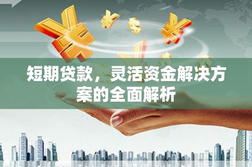 康县短期贷款，灵活资金解决方案的全面解析